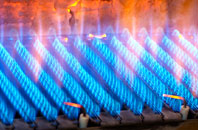 Dyffryn Castell gas fired boilers